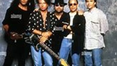 Music Group Toto's Style